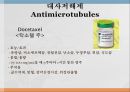 항암제, 항암제에 대한 이해, 알킬화제, 대사저하제, 항새제로서 항암제, Vinca Alkaloids, Hormone, Hormone의길항제, 기타항암 36페이지