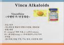 항암제, 항암제에 대한 이해, 알킬화제, 대사저하제, 항새제로서 항암제, Vinca Alkaloids, Hormone, Hormone의길항제, 기타항암 50페이지