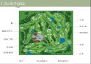 골프(Golf)의 정의·특징·역사·구성요소·신체적 영향 등 종합 내용 PPT 12페이지