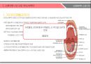 ★ 인체해부학 - 소화기계, 역류성 식도염 ( 구강, 치아, 타액선, 인두, 소화관의 벽, 식도, 위, 소장, 대장, 직장과 항문, 역류성 식도염 증상, 역류성 식도염 검사, 역류성 식도염 수술적 치료, 역류성 식도염 내 12페이지