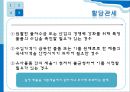 탄력관세제도 - 의의 기능 종류 결론 13페이지