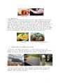 식생활과 문화-제 3세계 요리조사(싱가포르) 5페이지