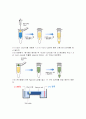 Plasmid DNA isolation from bacterial cell_Miniprep_예비레포트 [A+] 12페이지