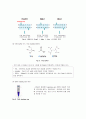 생물화학공학이론및 실험_ Miniprep_PCR_Restriction_Transformation_Liquid culture_Enzyme activity 전 실험 과정 통합 실험 과정_ 결과레포트 [A+] 25페이지