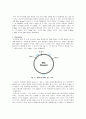 생물화학공학이론및 실험_ Miniprep_PCR_Restriction_Transformation_Liquid culture_Enzyme activity 전 실험 과정 통합 실험 과정_ 결과레포트 [A+] 29페이지