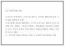 창업계획서 - 스마트폰 액정보호필름 제조 판매 쇼핑몰 창업 사업계획서 PPT 22페이지