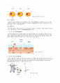 실험 7주차_세포막을 통한 물질이동 결과 Report 4페이지