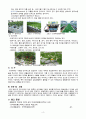 방송통신대학교 농학과 생활원예 2학기 과제물 4페이지